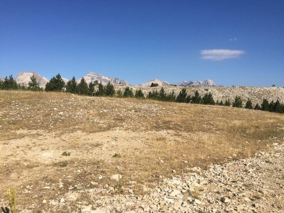 La Joue Du Loup, Aux Pieds Des Pistes Et Vue Sur Montagnes Lägenhet Exteriör bild